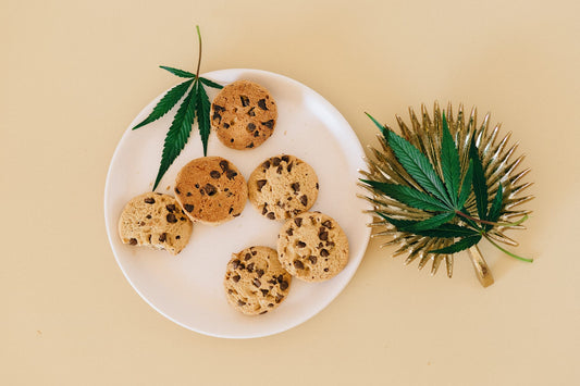A Delicious High Exploring the World of Cannabis Edibles