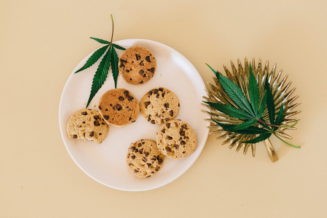 A Delicious High Exploring the World of Cannabis Edibles