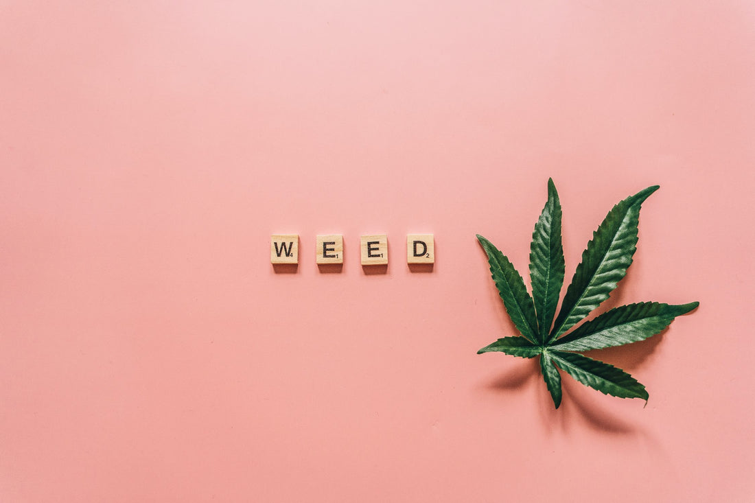 Exploring Stoner-Friendly Destinations India's Cannabis Culture